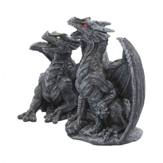 Dary Fury set of Dragons